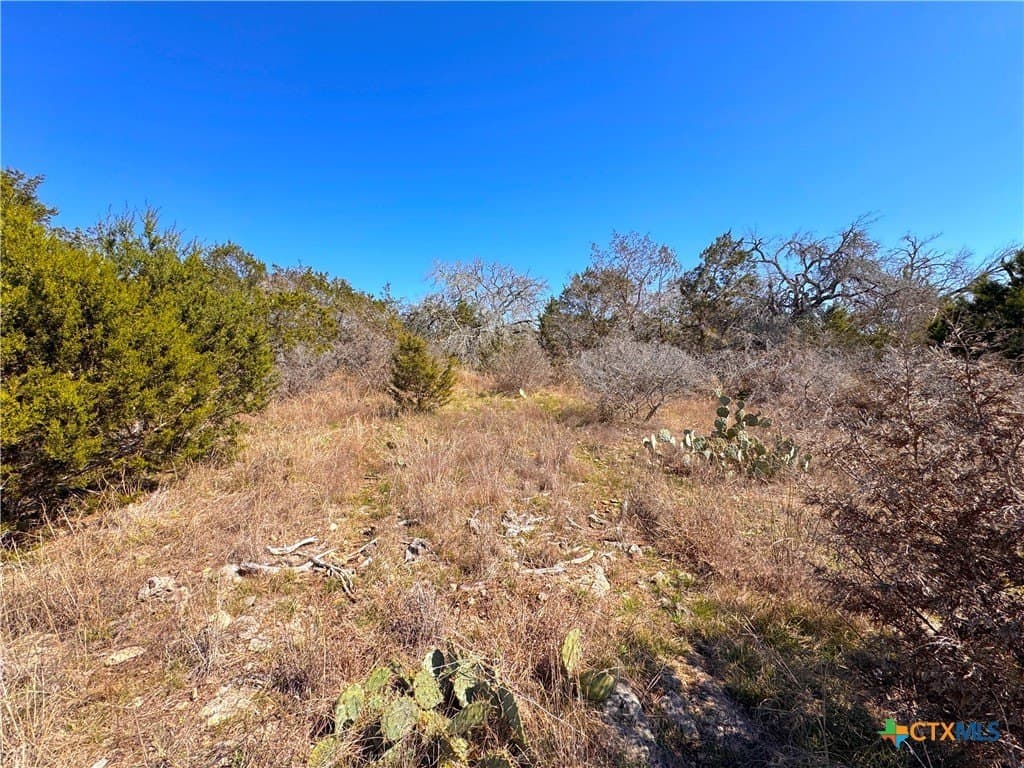 1.31 acres in Comal County - photo 12