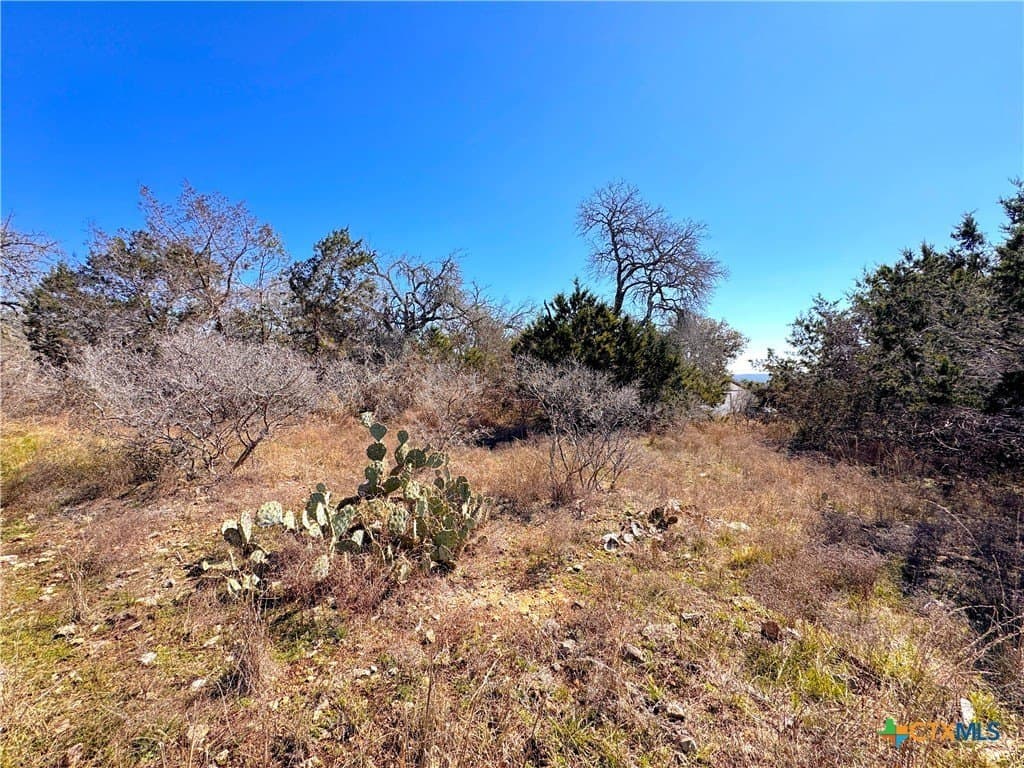 1.31 acres in Comal County - photo 11