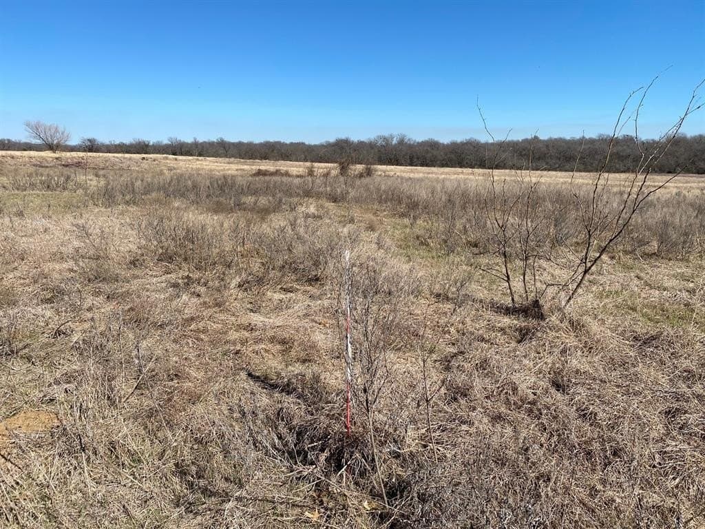 3.61 acres in Navarro County - photo 4