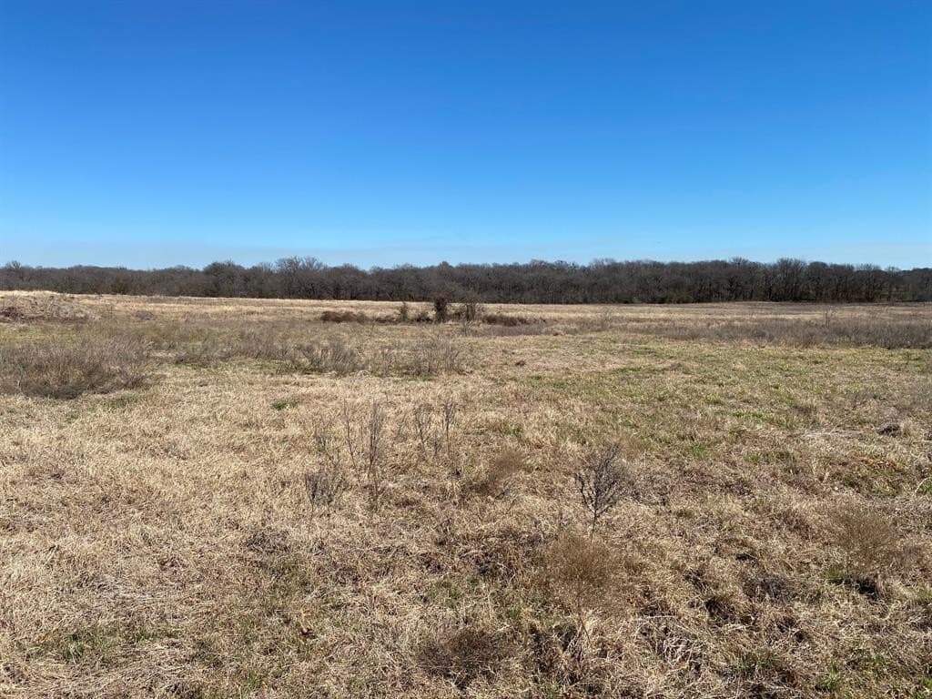 3.61 acres in Navarro County - photo 6