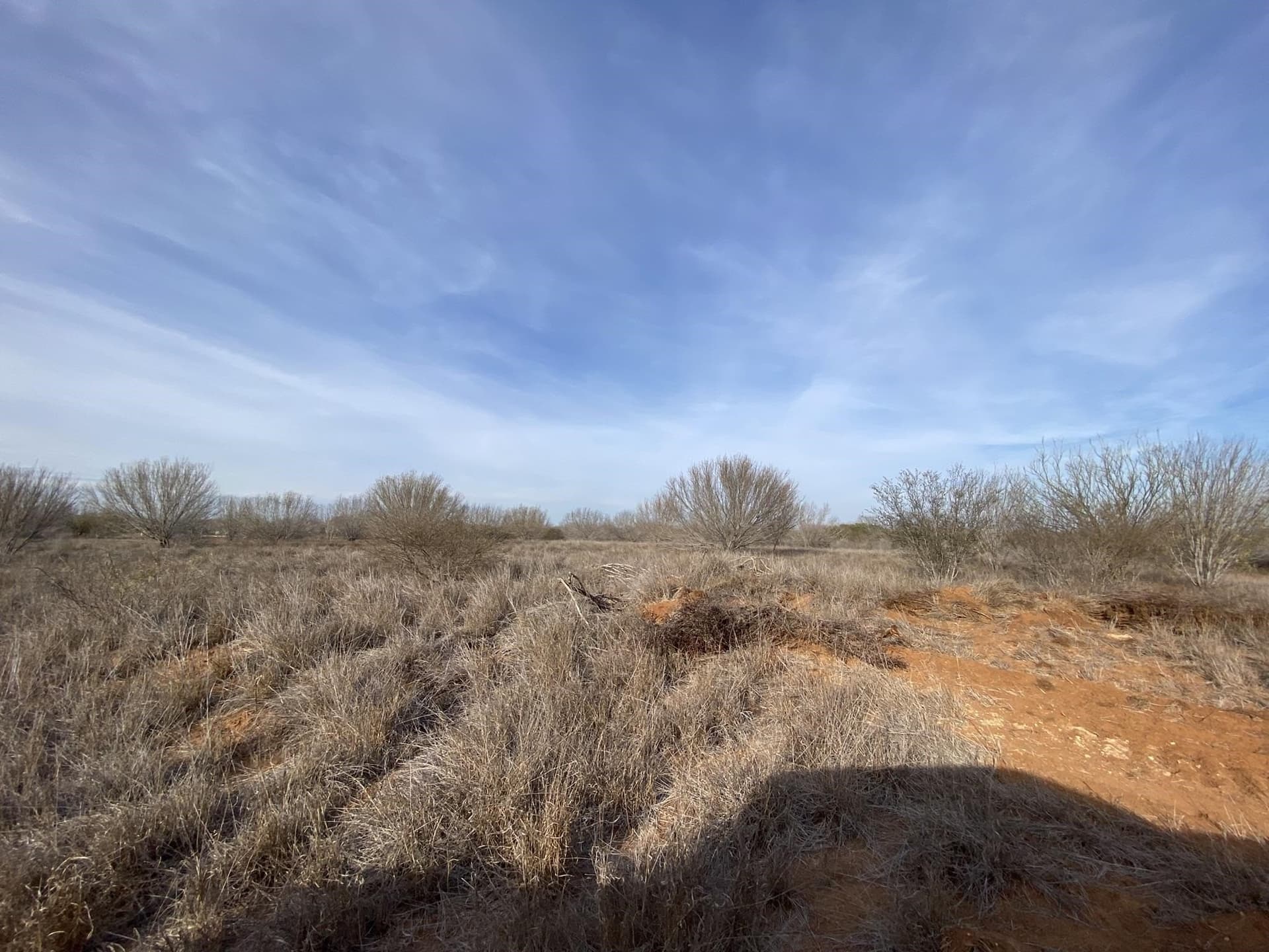 25 acres in La Salle County - photo 3