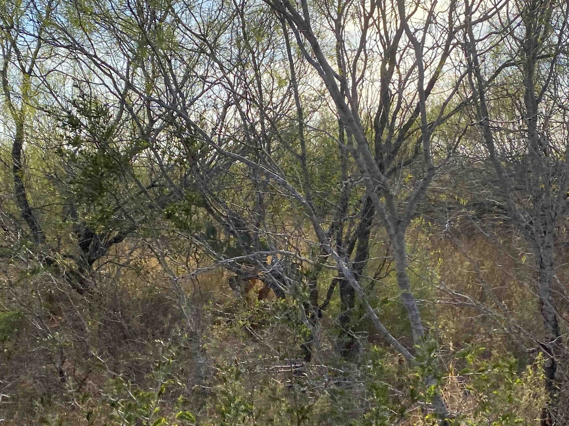 25 acres in La Salle County - photo 7