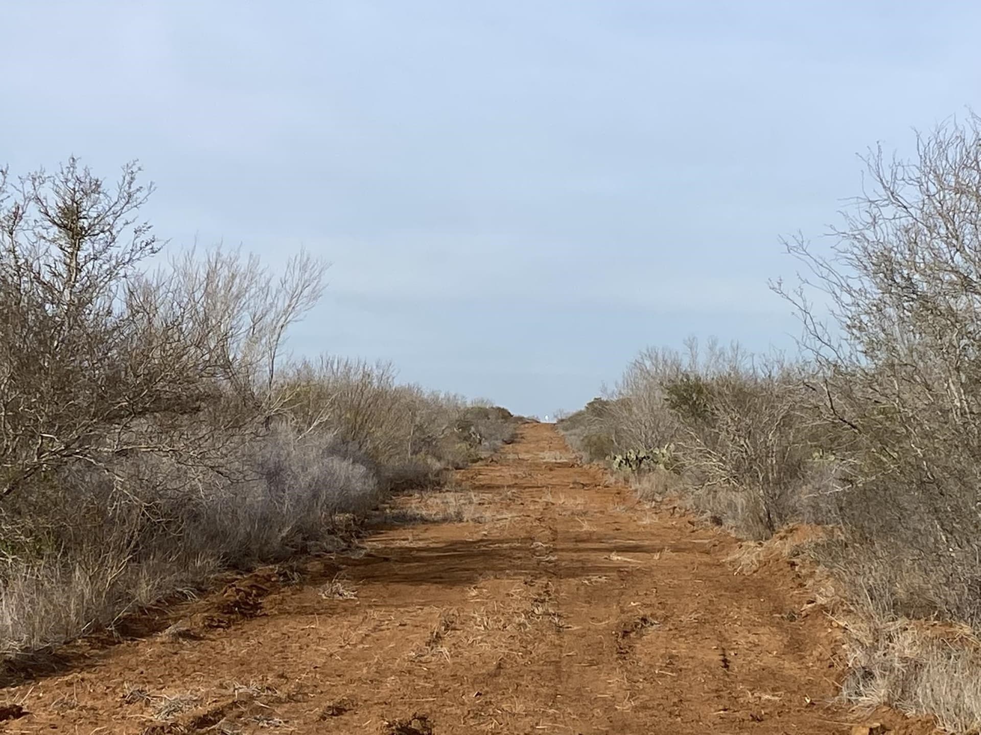 25 acres in La Salle County - photo 5