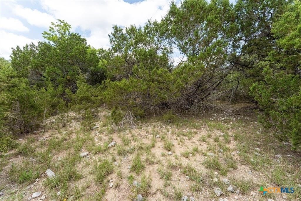 6 acres in Hays County - photo 4