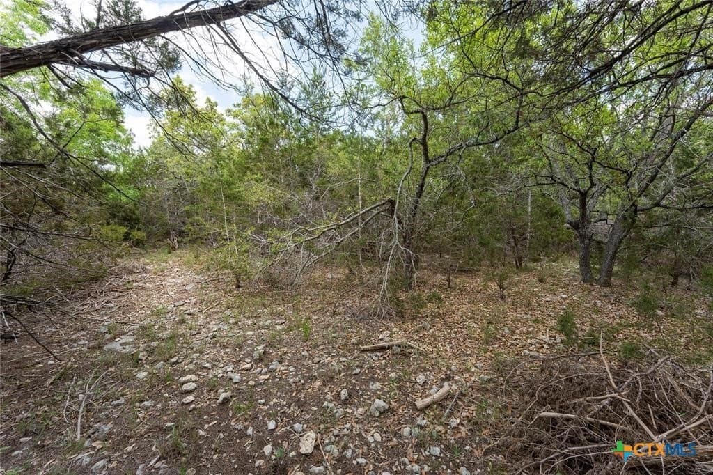 6 acres in Hays County - photo 5
