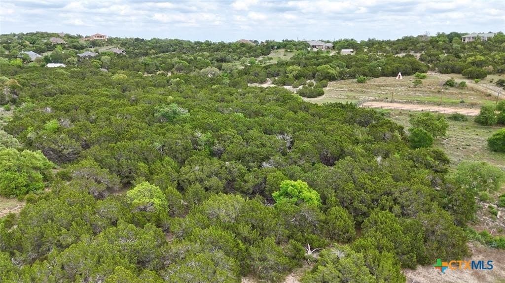 6 acres in Hays County - photo 8