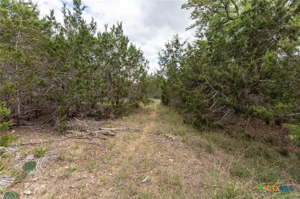 6 acres in Hays County - photo 3