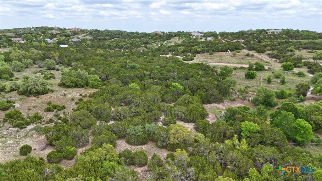 6 acres in Hays County - photo 7