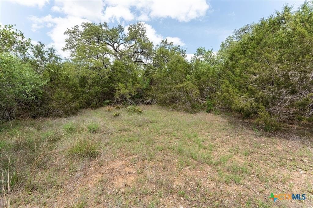 6 acres in Hays County - photo 2