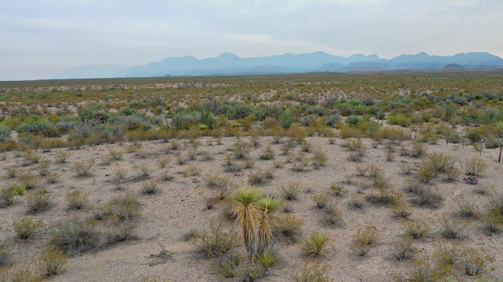 320 acres in Presidio County - photo 3