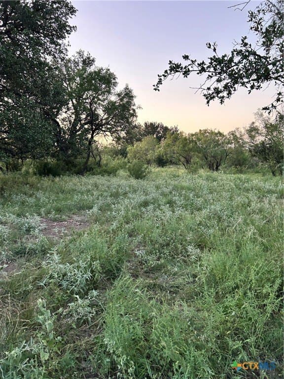 52.03 acres in Schleicher County - photo 6