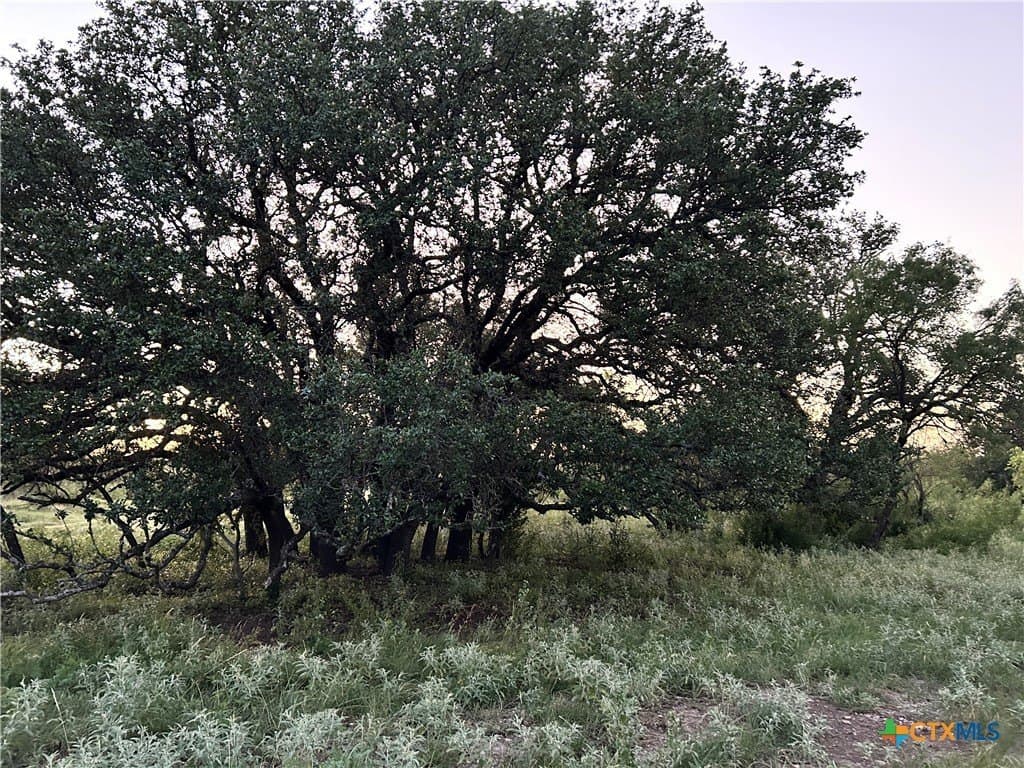 52.03 acres in Schleicher County - photo 7