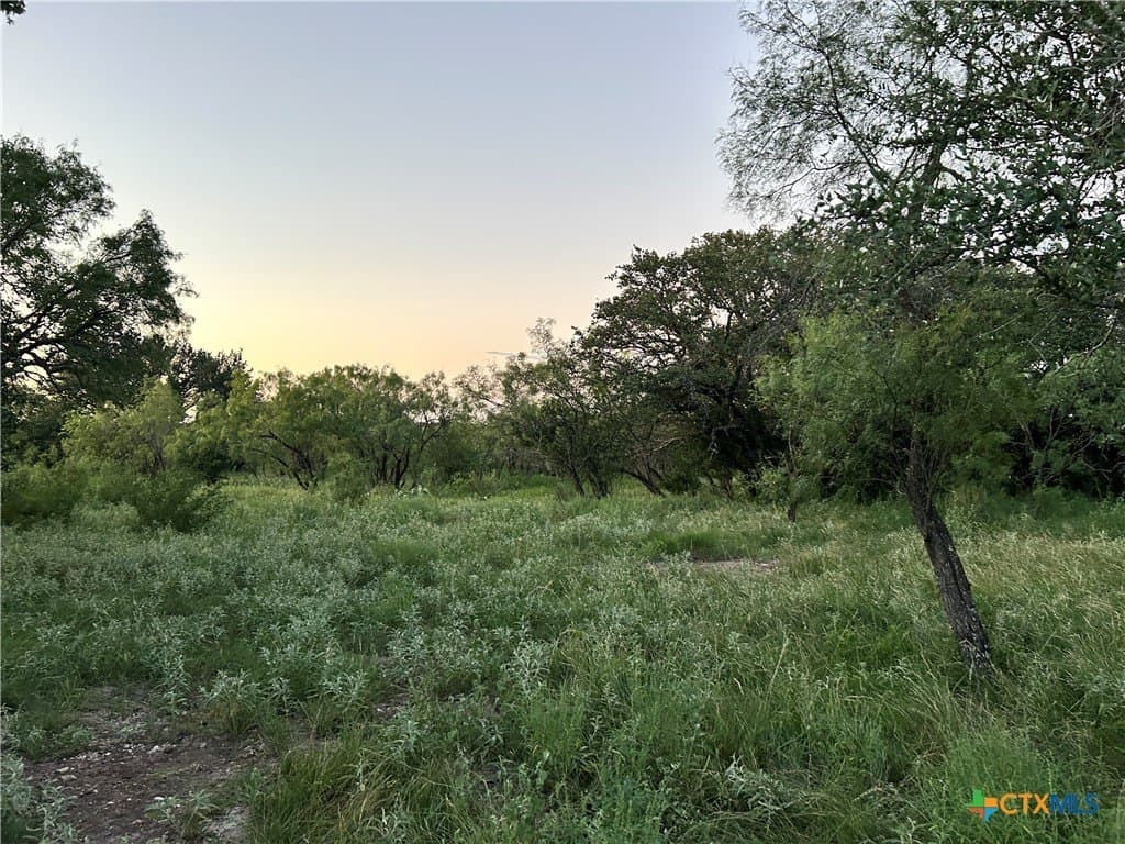 52.03 acres in Schleicher County - photo 2