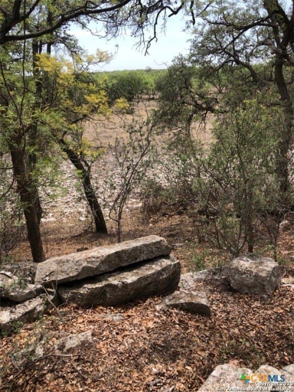 52.03 acres in Schleicher County - photo 22