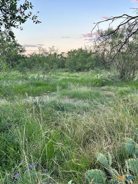 52.03 acres in Schleicher County - photo 4