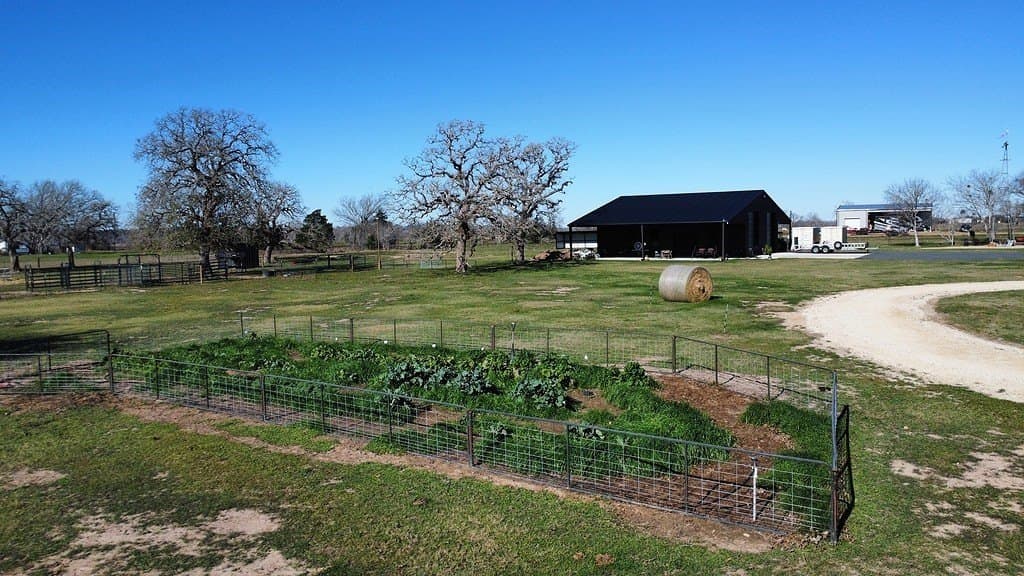 4.24 acres in Colorado County - photo 16