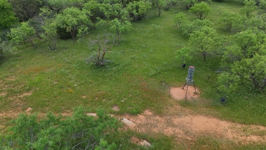 30 acres in Stephens County - photo 5