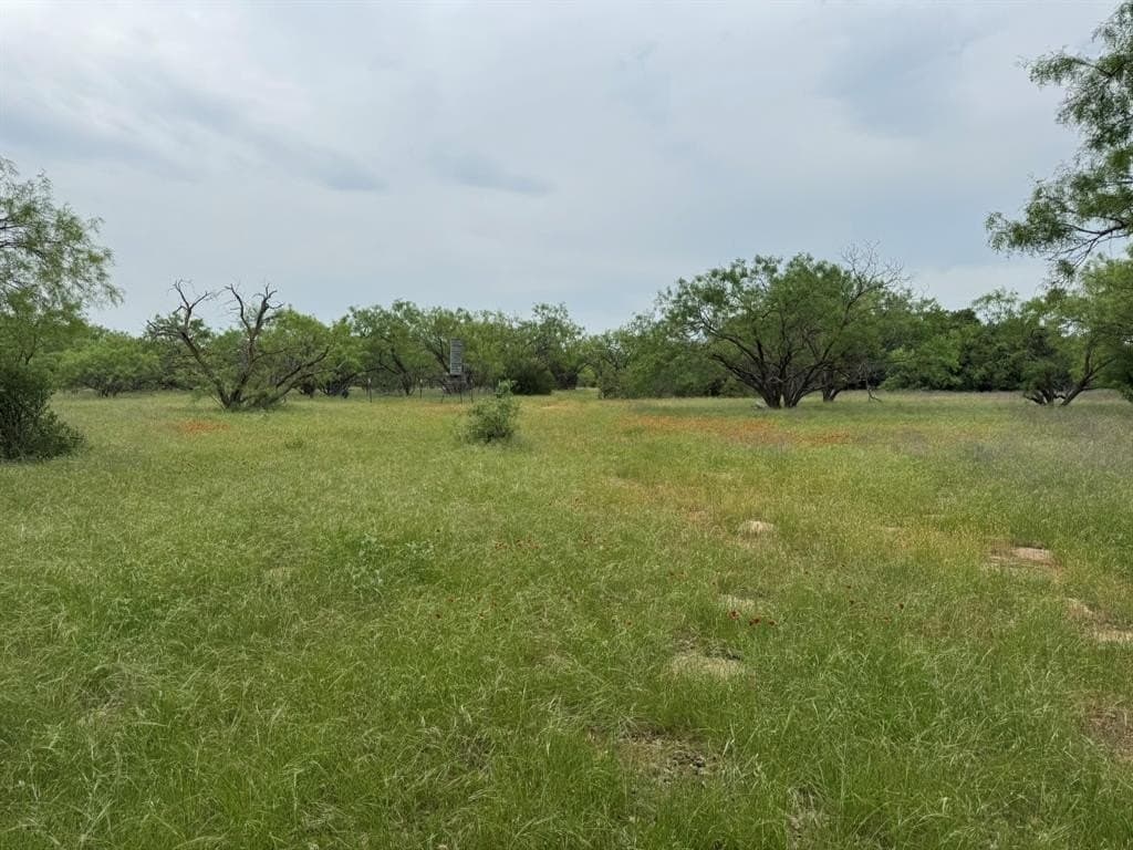30 acres in Stephens County - photo 9