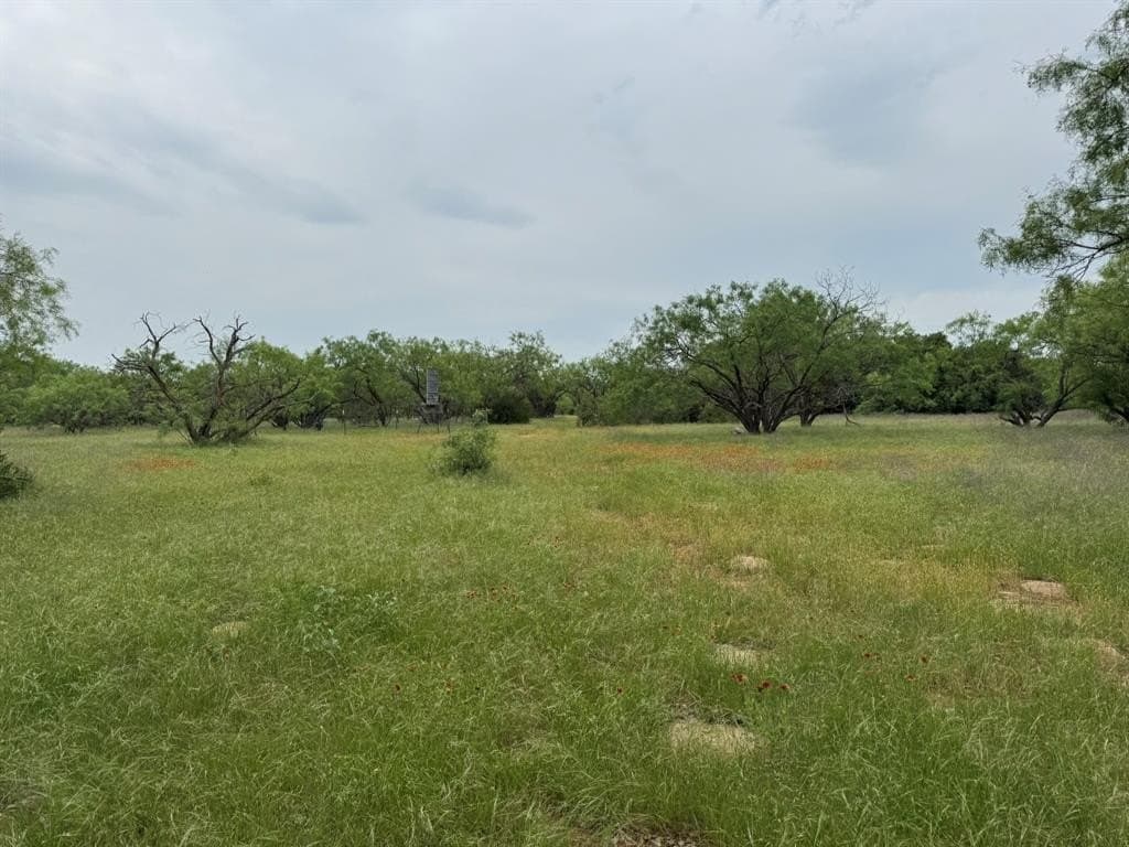 30 acres in Stephens County - photo 10