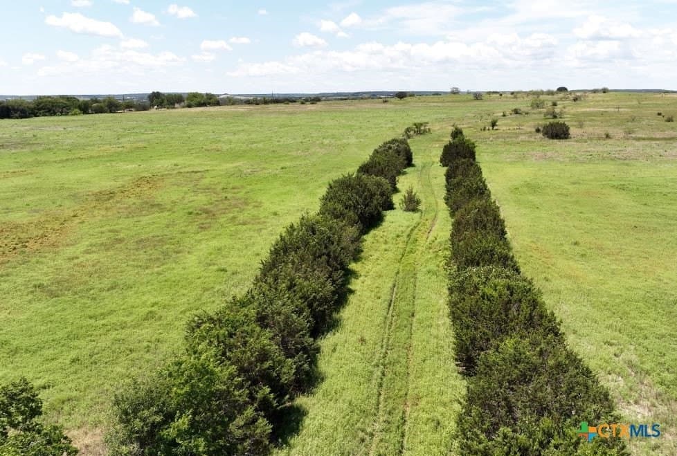 73.25 acres in Coryell County - photo 15