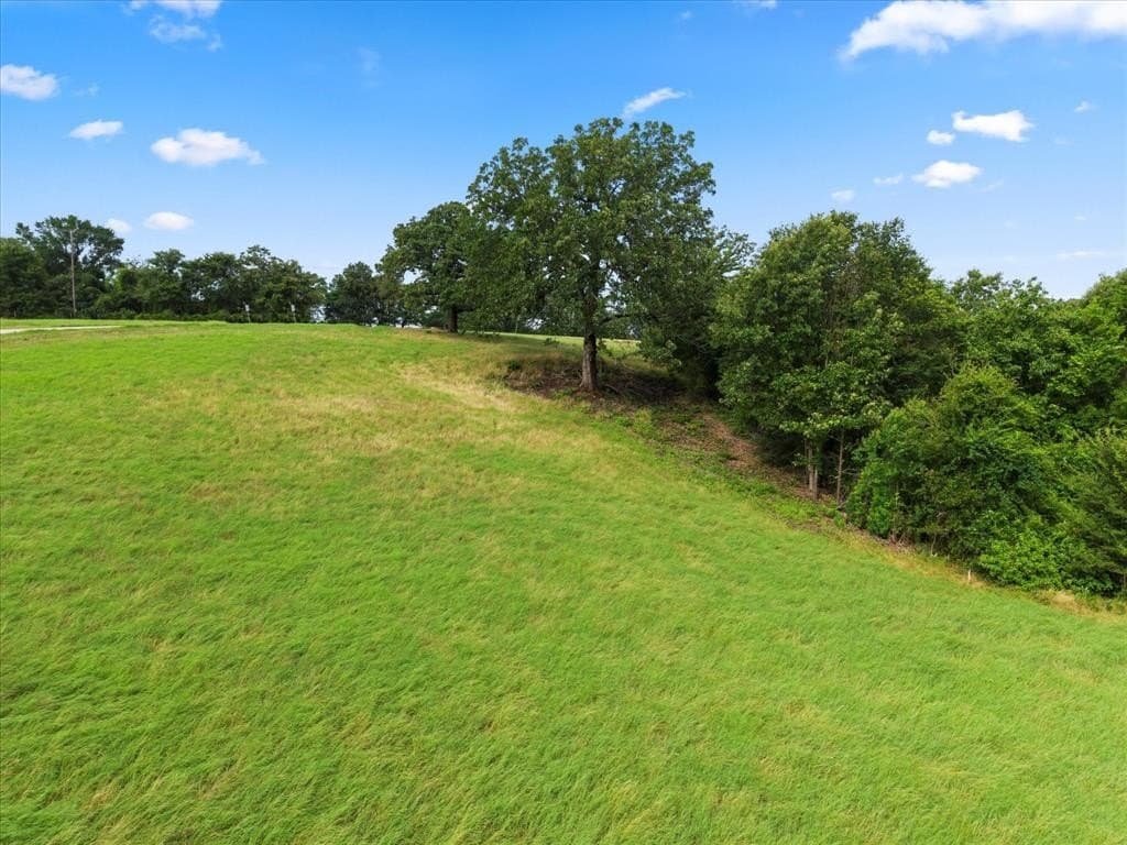 1 acres in Henderson County - photo 8