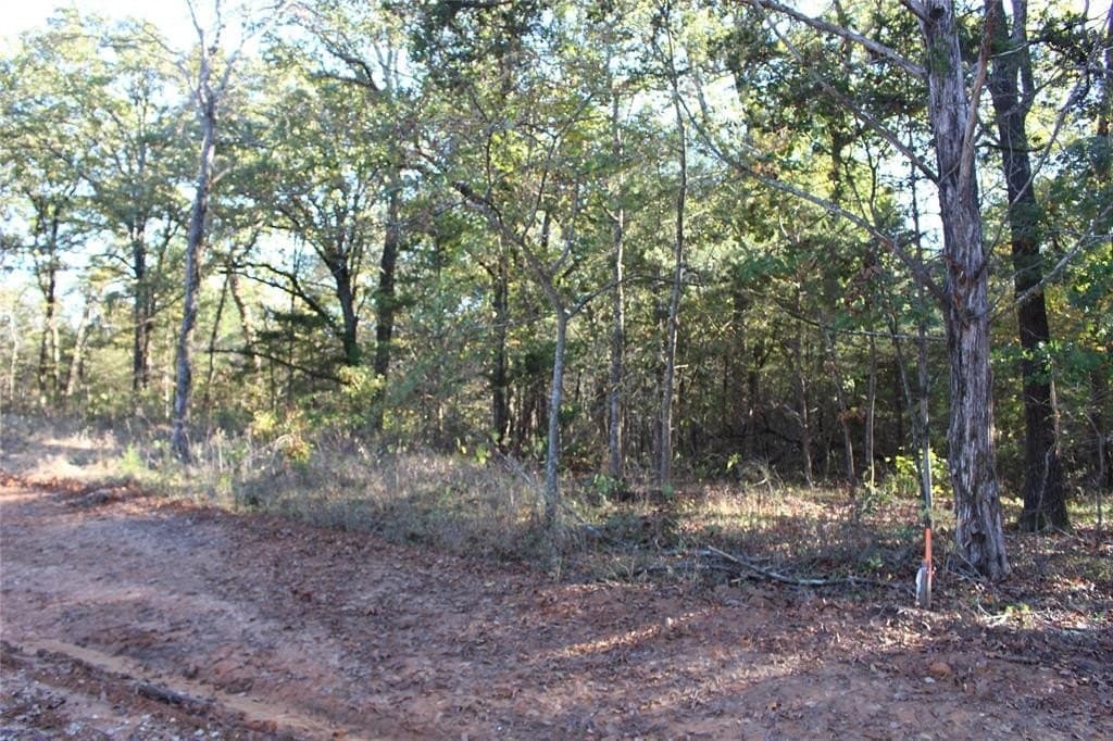 0.6 acres in Grayson County - photo 10
