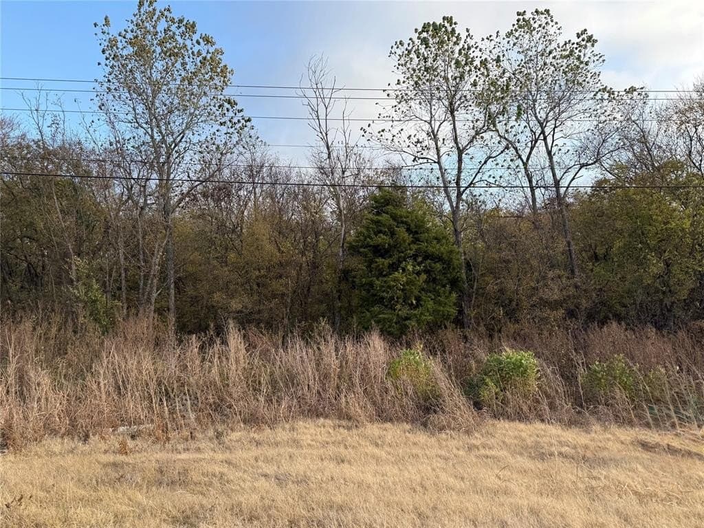 0.49 acres in Hunt County - photo 2