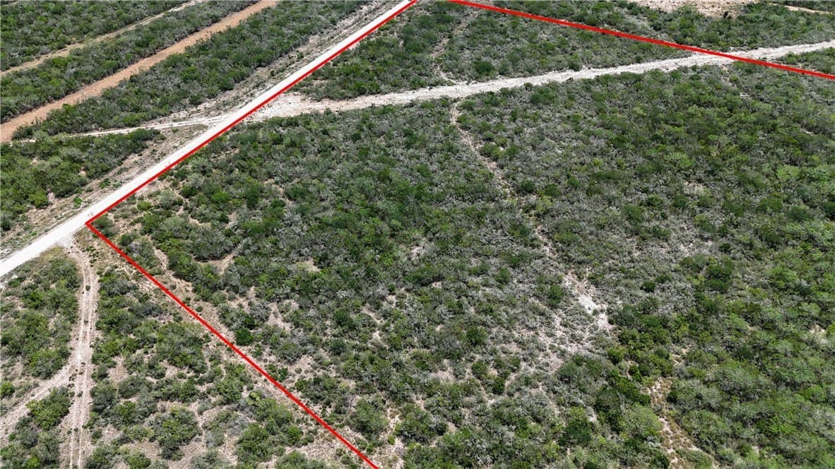 10.24 acres in Duval County - photo 5