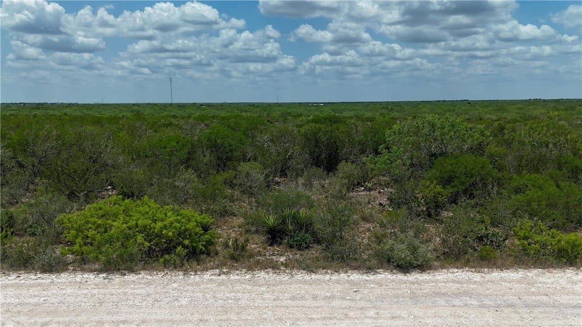 10.24 acres in Duval County - photo 7