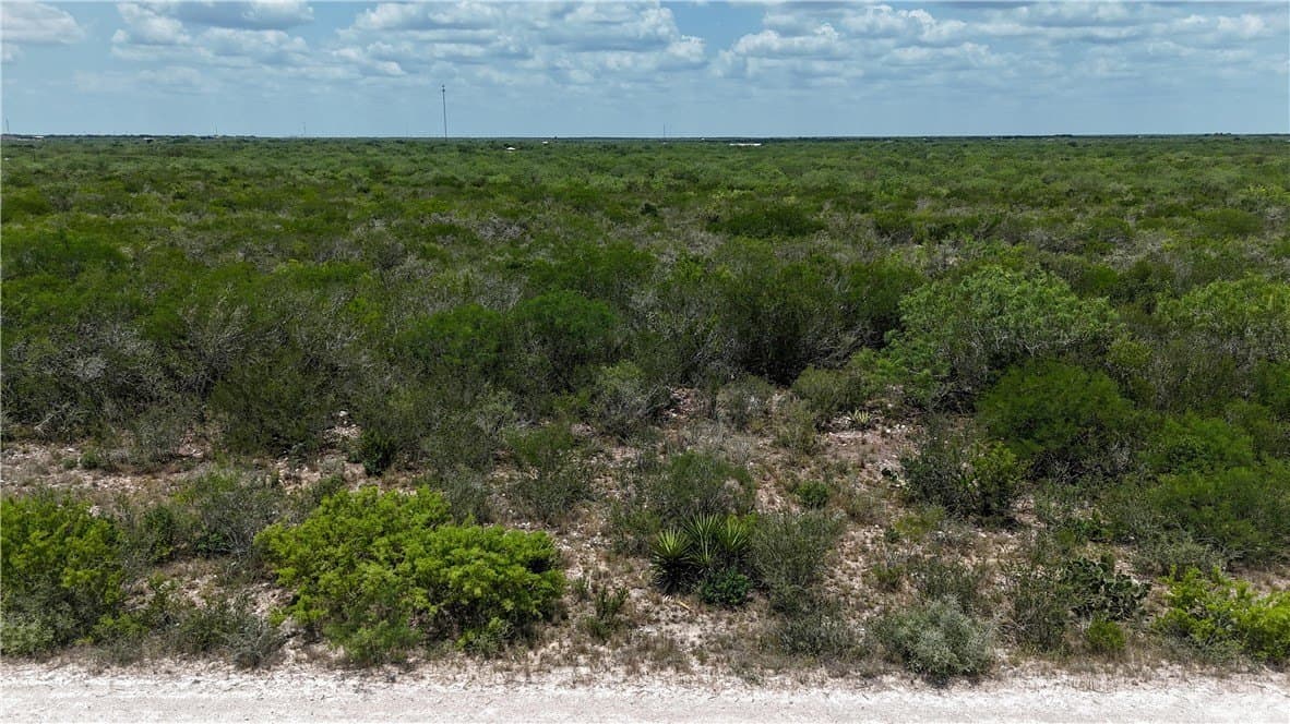 10.24 acres in Duval County - photo 8