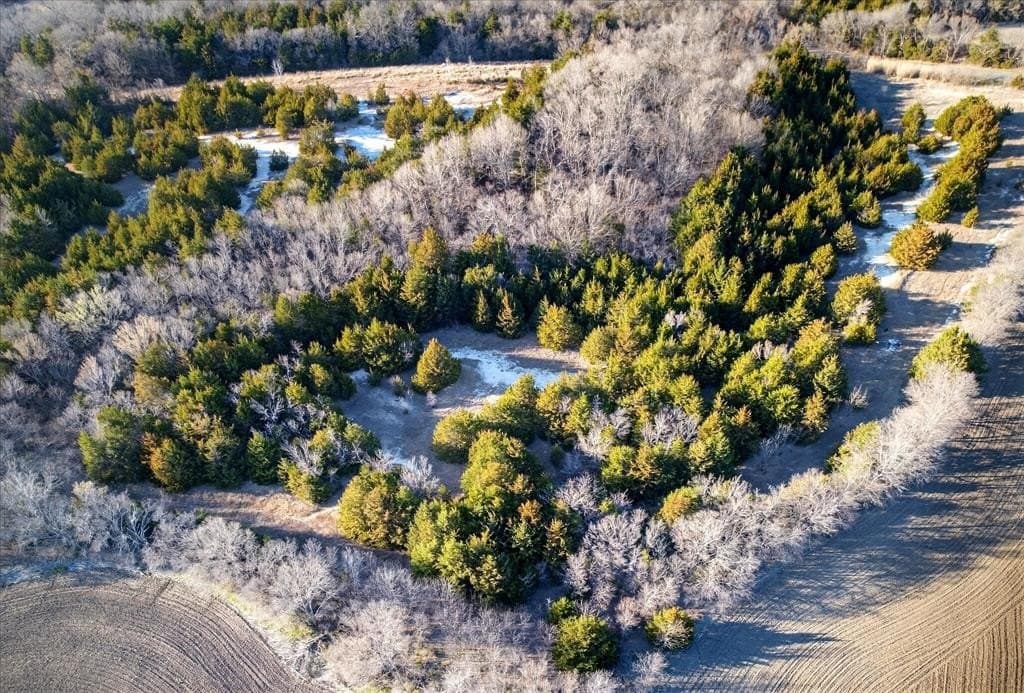100 acres in Collin County - photo 6