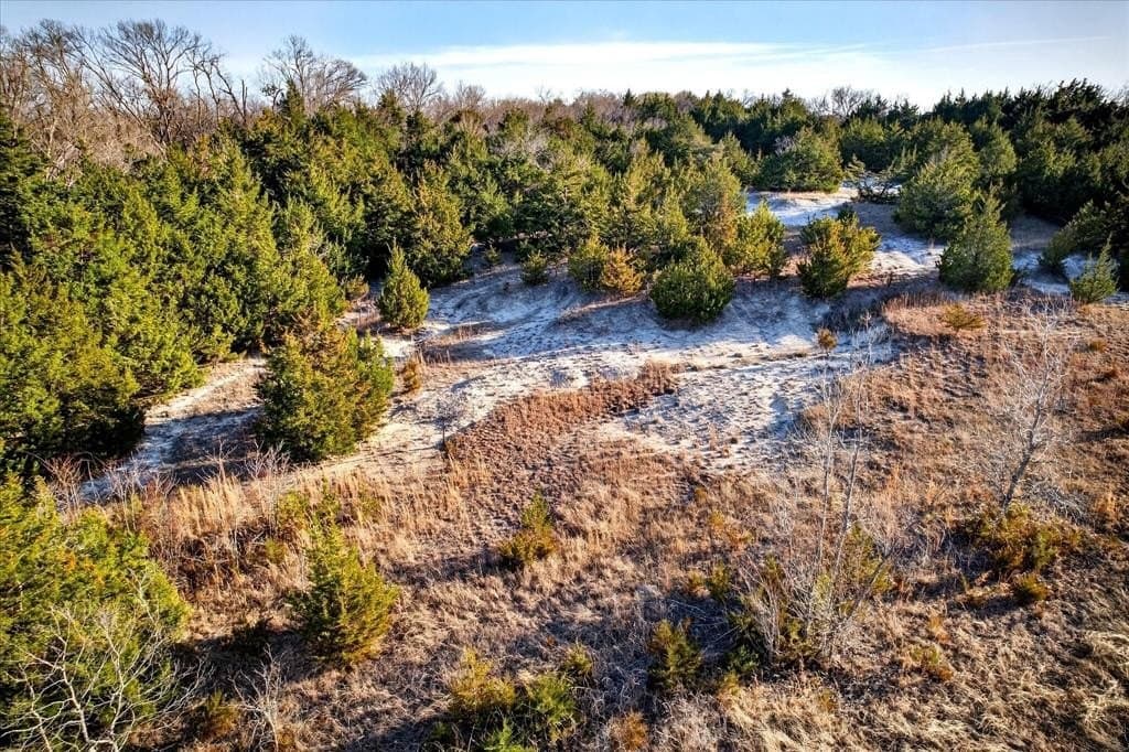 100 acres in Collin County - photo 5