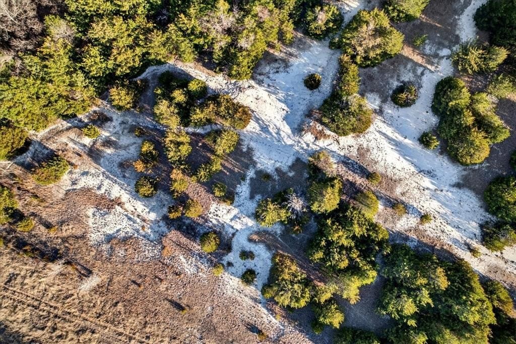 100 acres in Collin County - photo 4