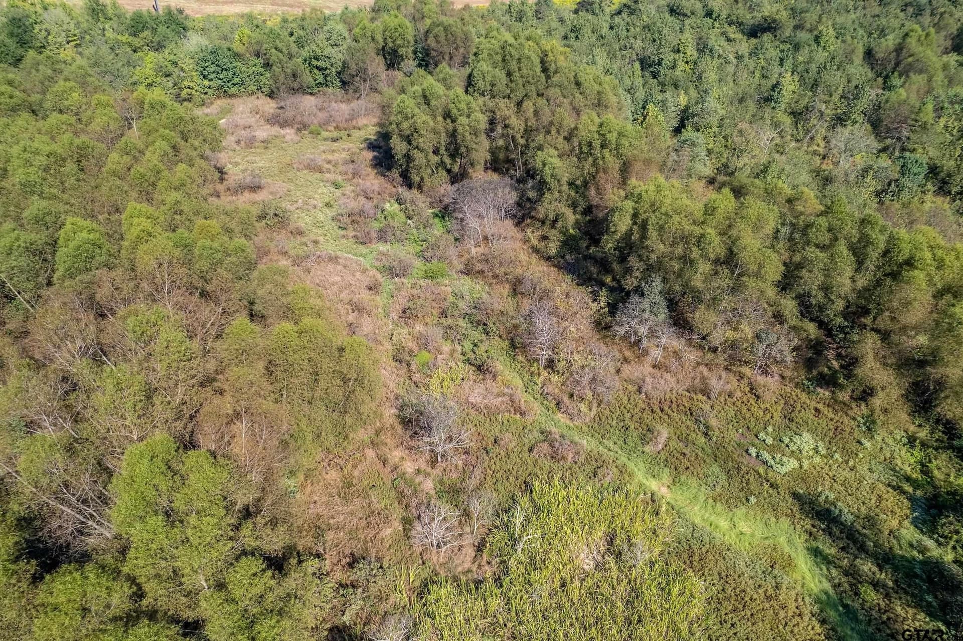 133.65 acres in Smith County - photo 16