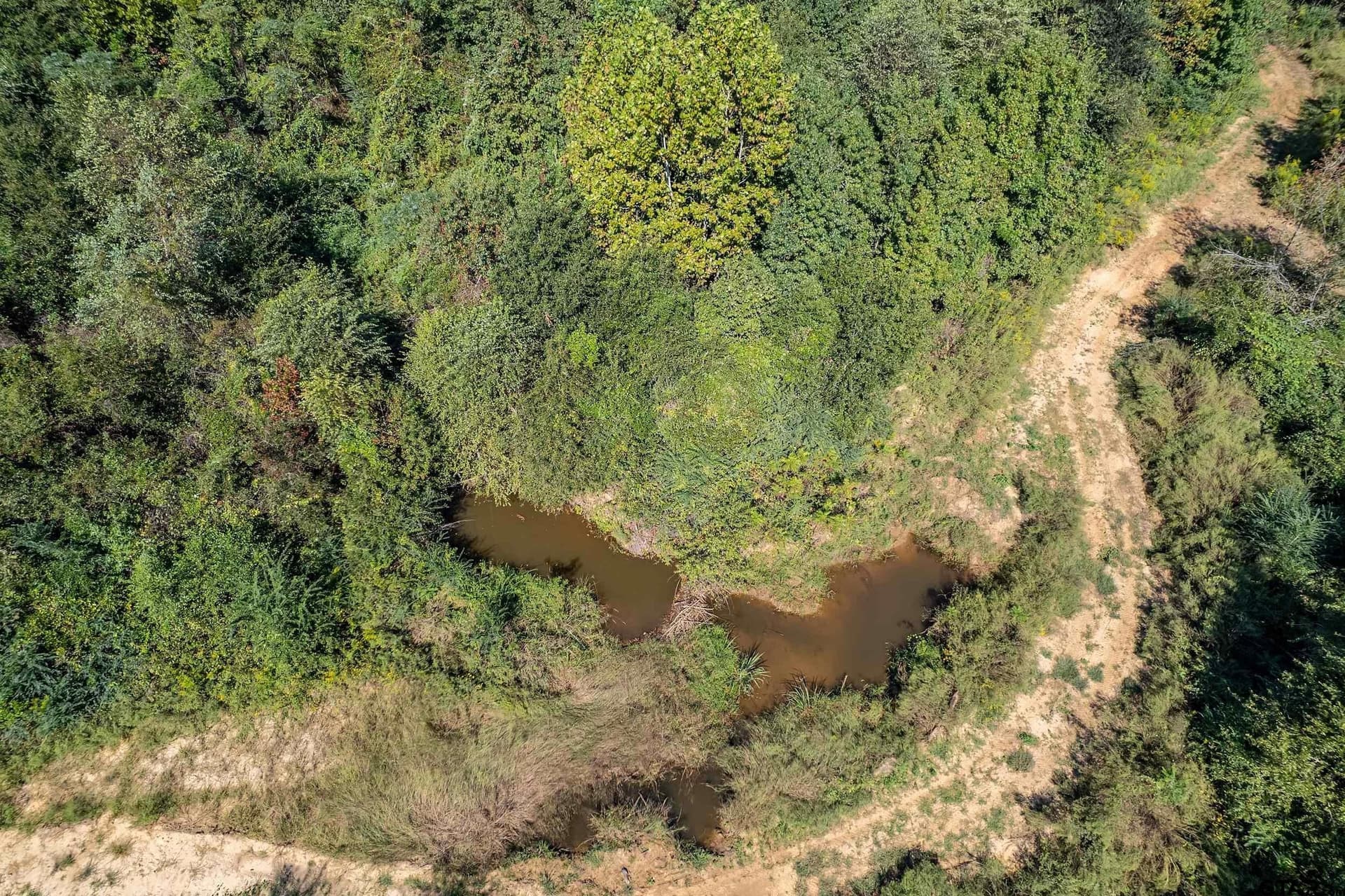 133.65 acres in Smith County - photo 15