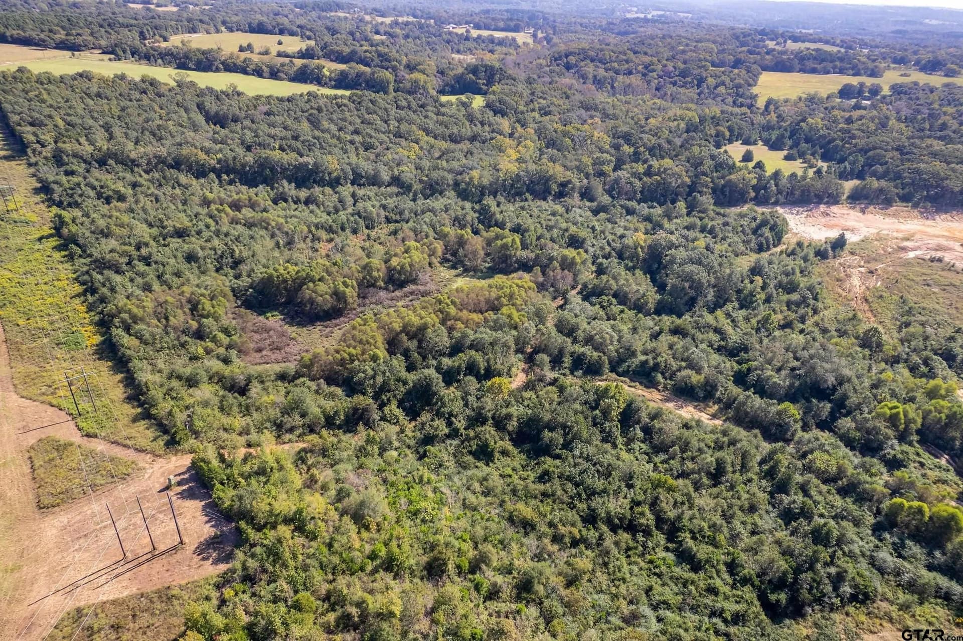 133.65 acres in Smith County - photo 11