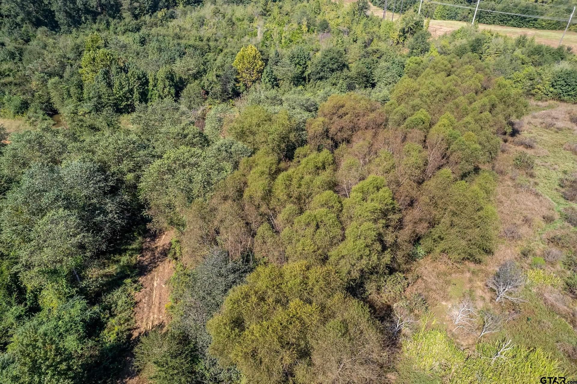 133.65 acres in Smith County - photo 17