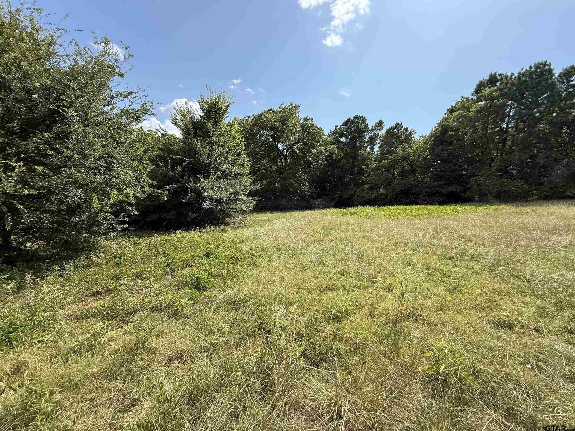 5 acres in Cherokee County - photo 5
