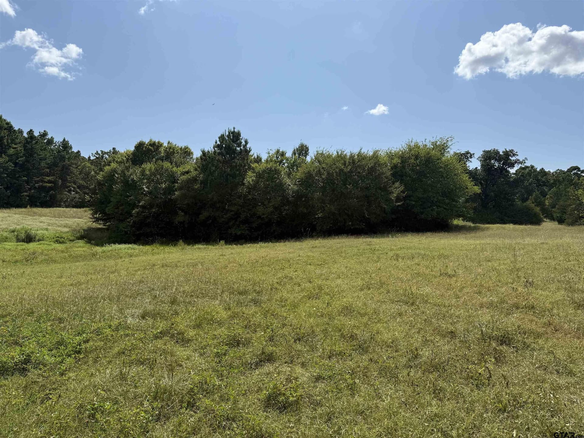 5 acres in Cherokee County - photo 13