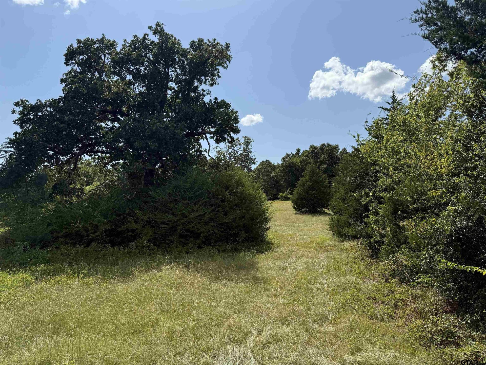 5 acres in Cherokee County - photo 10
