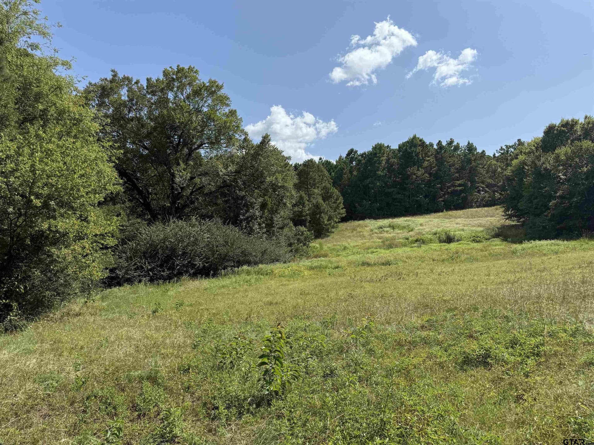 5 acres in Cherokee County - photo 12