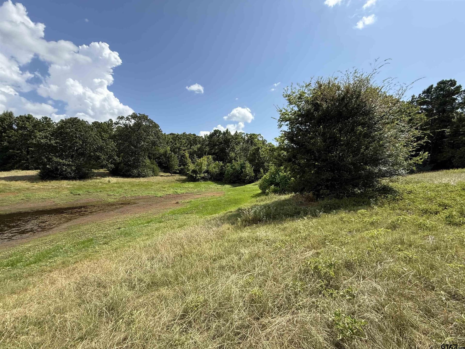 5 acres in Cherokee County - photo 4
