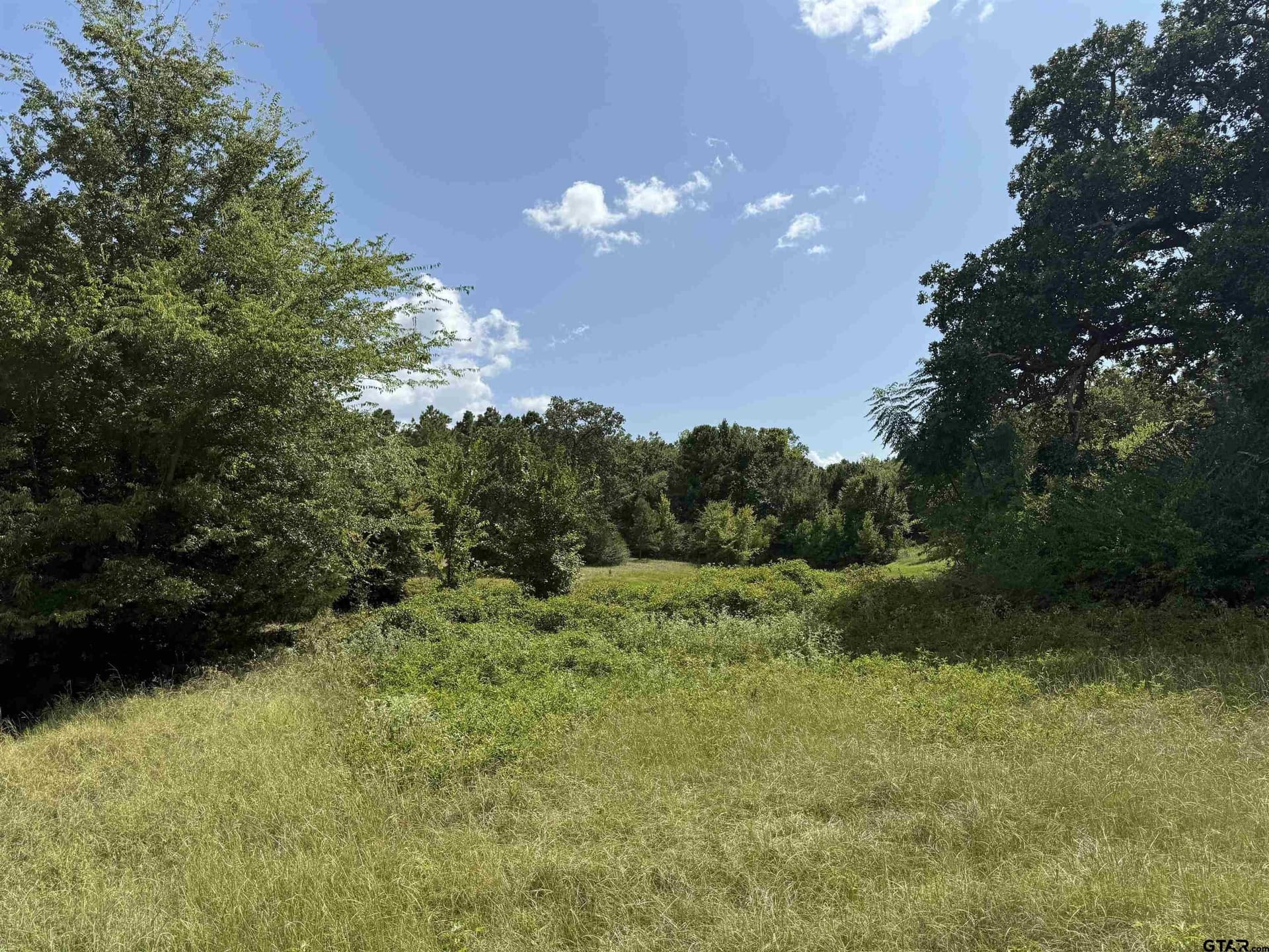5 acres in Cherokee County - photo 11