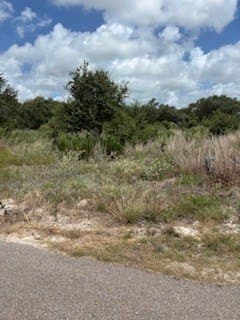 0 acres in Texas County - photo 2