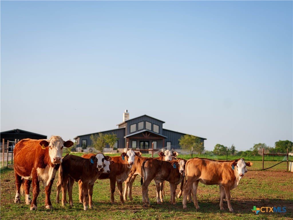 18 acres in Bexar County - photo 48