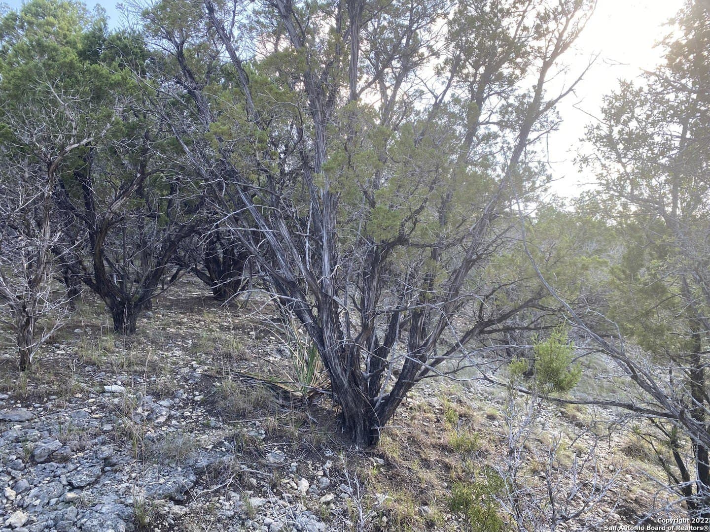 0.21 acres in Bandera County - photo 3