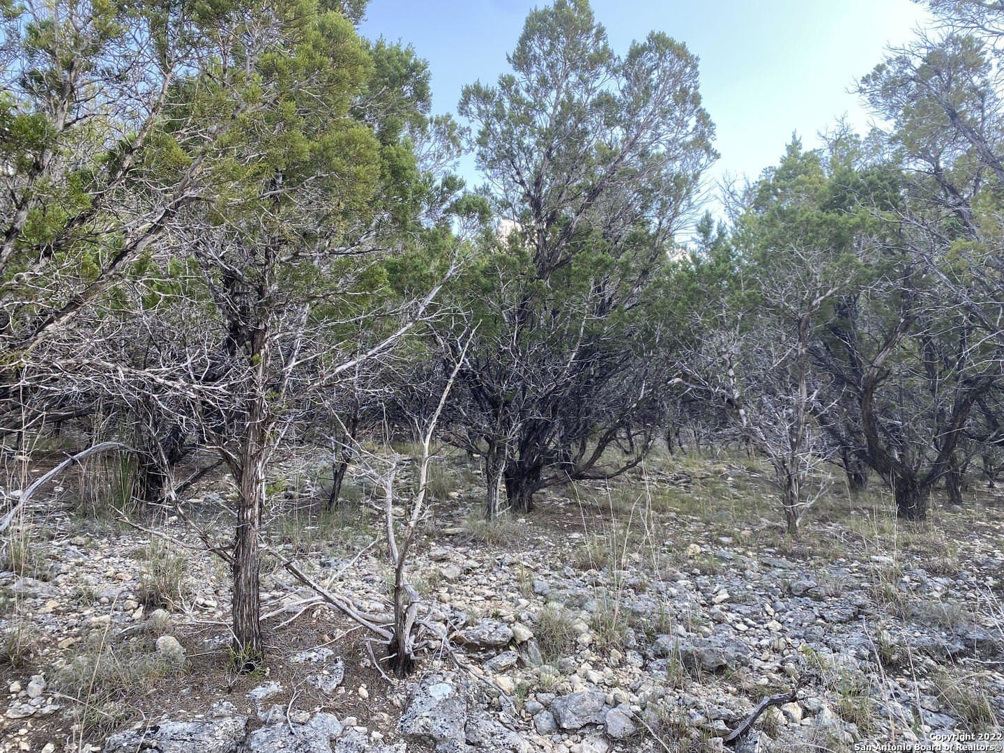 0.21 acres in Bandera County - photo 2
