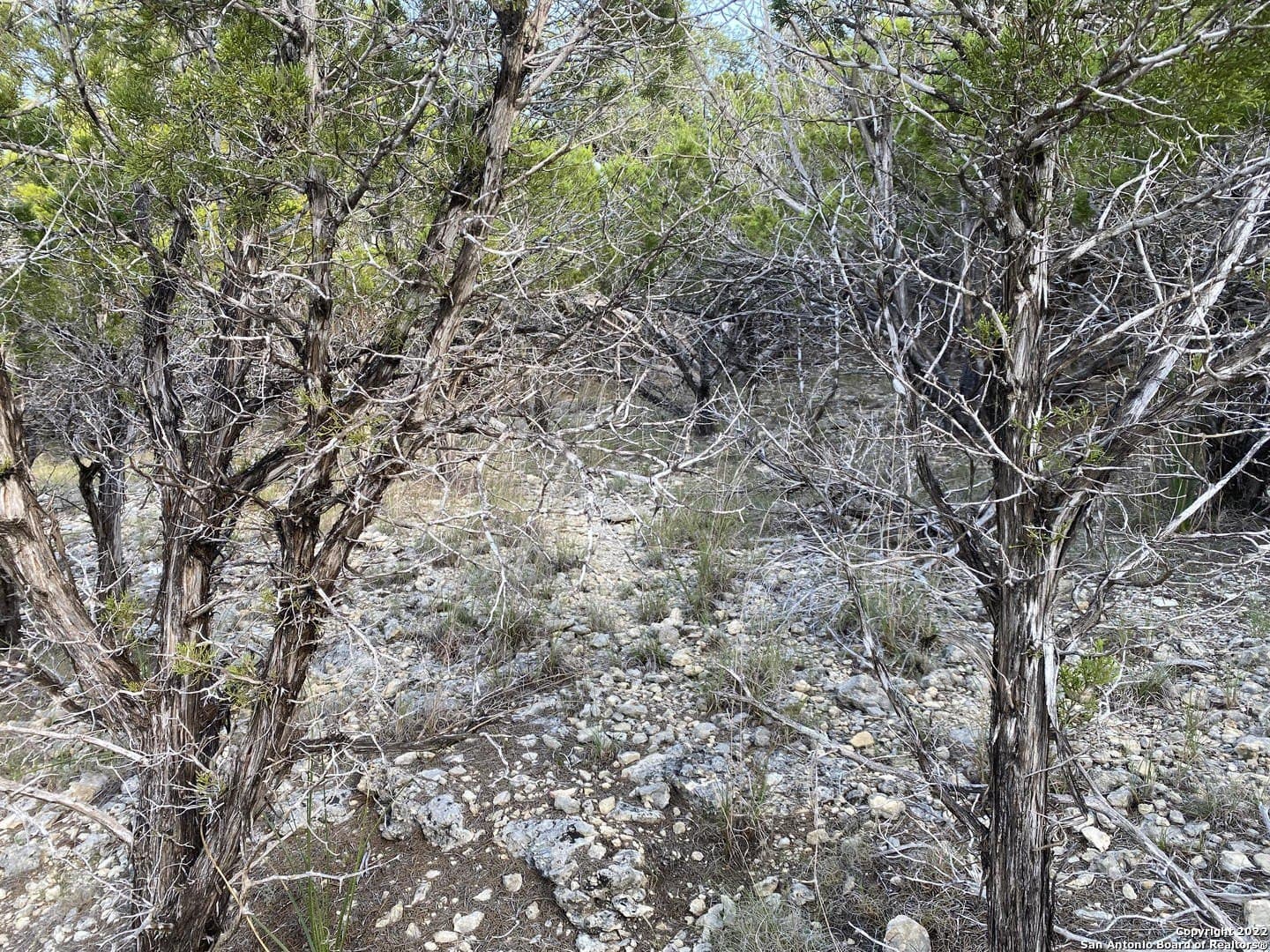 0.21 acres in Bandera County - photo 4