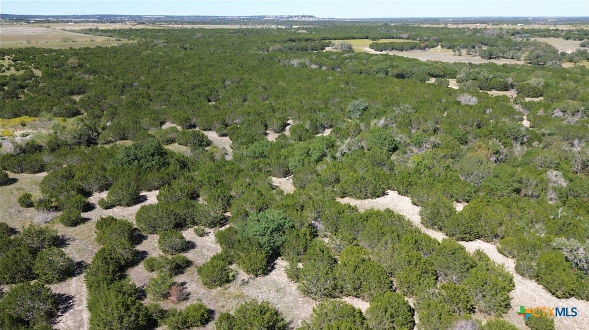 312 acres in Coryell County - photo 5