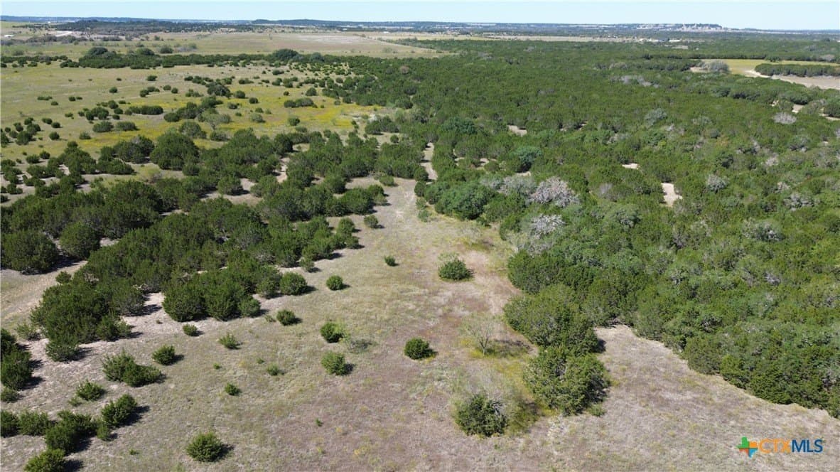 312 acres in Coryell County - photo 4